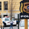 Dutch police keep teddy beer