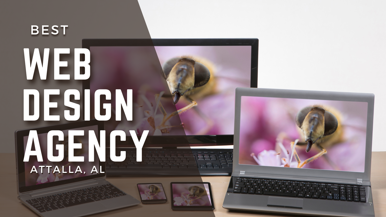 Web Design Agency in Attalla, AL